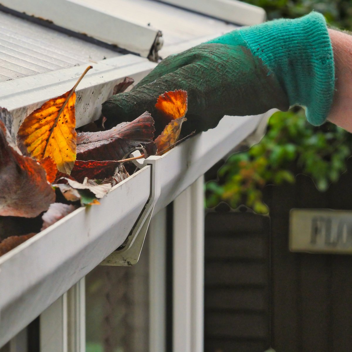 Dirty clogged gutter with leaves and debris needing professional cleaning