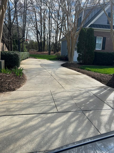 Concrete driveway with tree-lined path leading to brick house on residential street